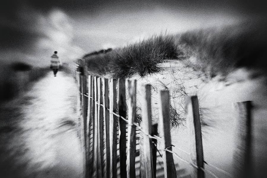Dune Photograph by Luc Vangindertael (lagrange)