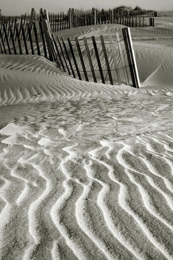 Dune Patterns II Photograph by Steven Ainsworth - Fine Art America