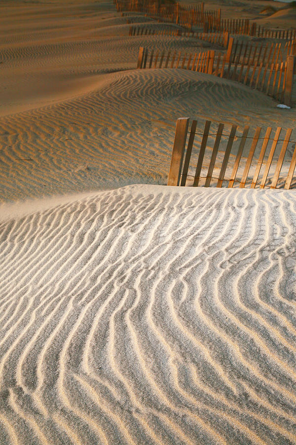 Dune Patterns III Photograph by Steven Ainsworth
