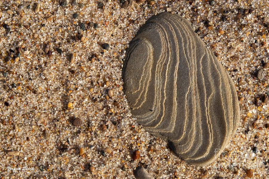 Dune Rock Photograph by Verana Stark