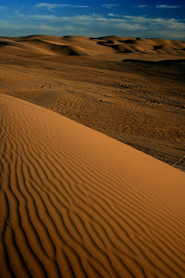 Dune Sunset Photograph by Scott Cunningham