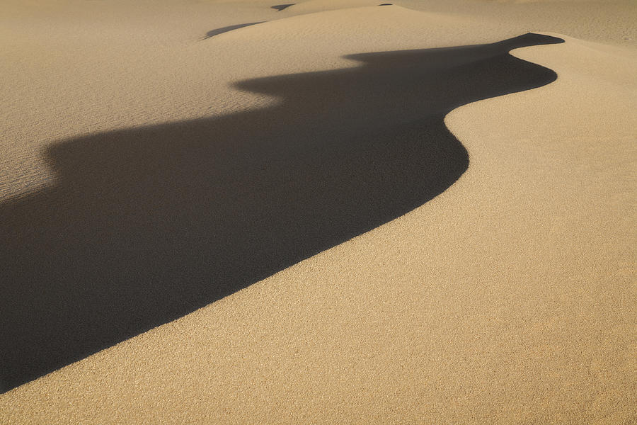 Dune waves Photograph by Dominique Dubied