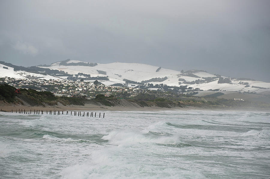 Dunedin Snow Photograph by Jill Ferry Photography