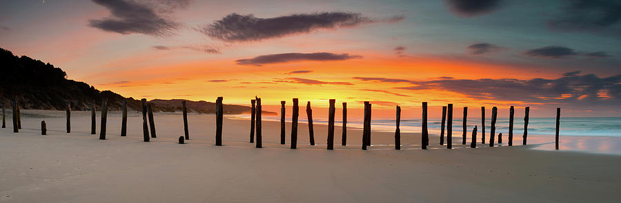 Dunedin St Clair Beach Sunrise Old Photograph by Kathryn Diehm