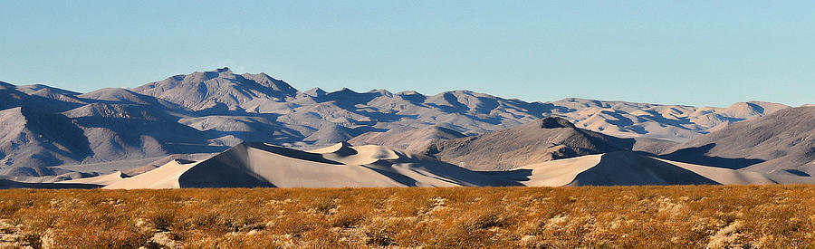 Dunes - Death Valley Photograph by Dana Sohr