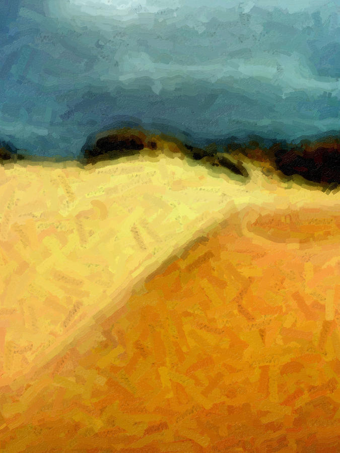Dunes 1 Digital Art by David Hansen