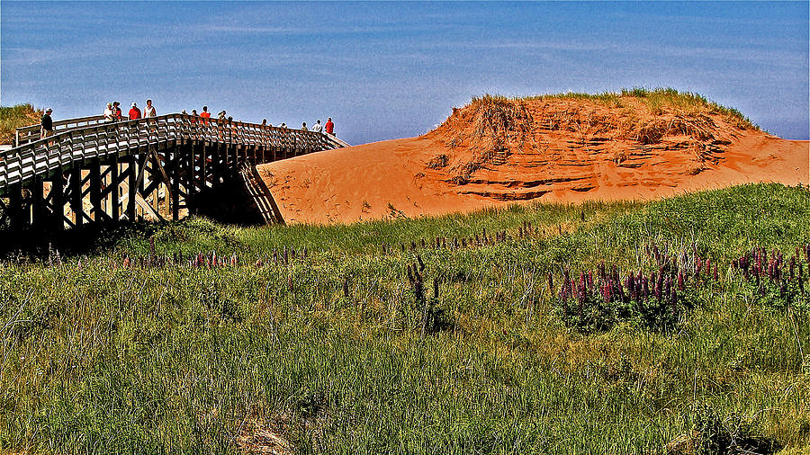 Dunes and Boardwalk in Greenwich in PEI National Park, Prince Edward Island, Canada Photograph by Ruth Hager