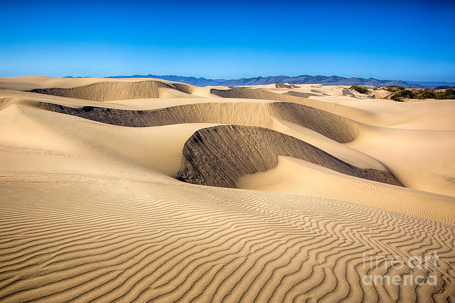 Dunes And Sand Patterns Photograph by Mimi Ditchie