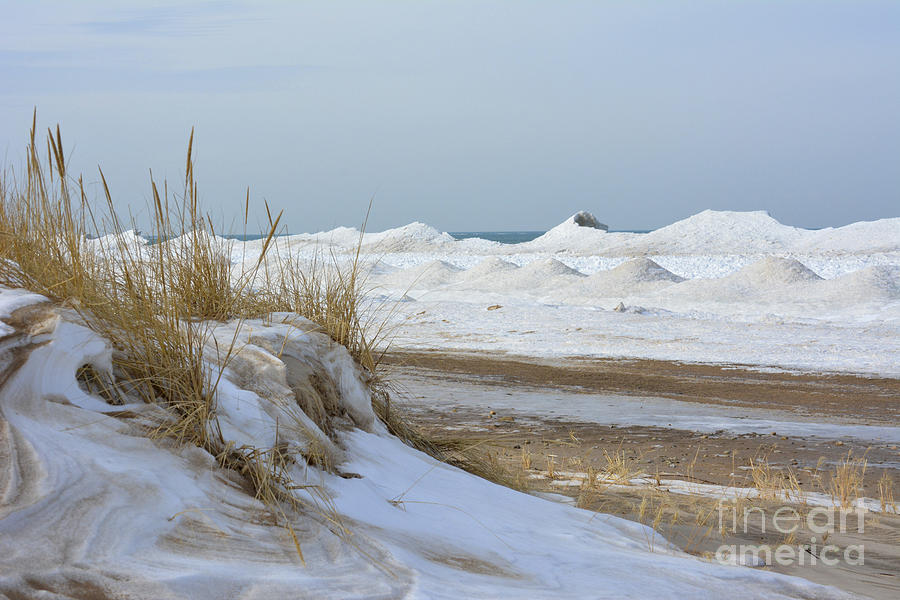 Dunes and Shelf Ice Photograph by Forest Floor Photography