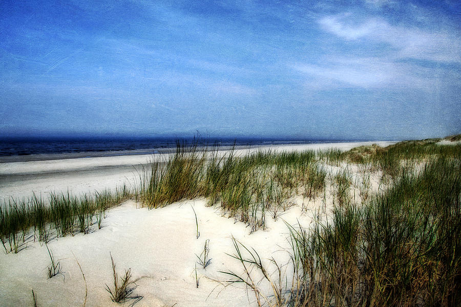 Nature Photograph - Dunes by Annie Snel Nature Photograph - Dunes by Annie Snel