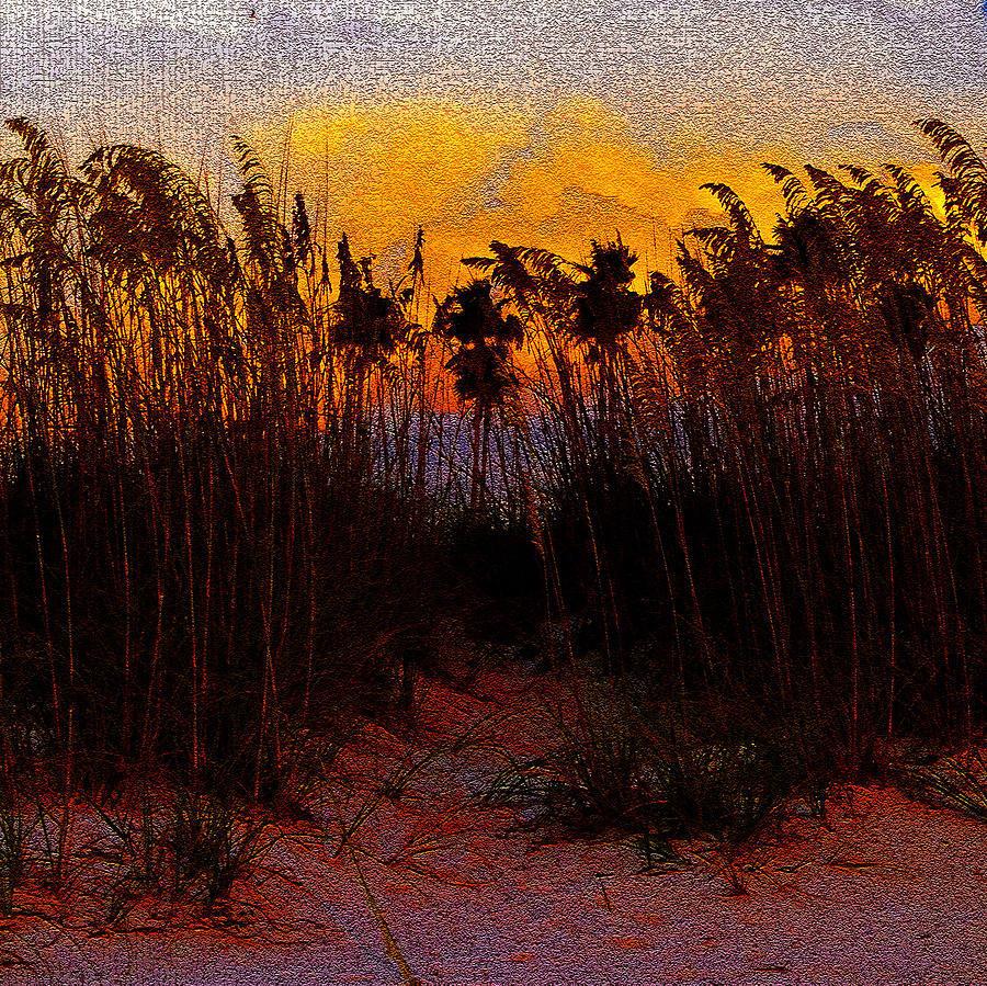 Dunes at Dusk antique style A Photograph by David Lee Thompson
