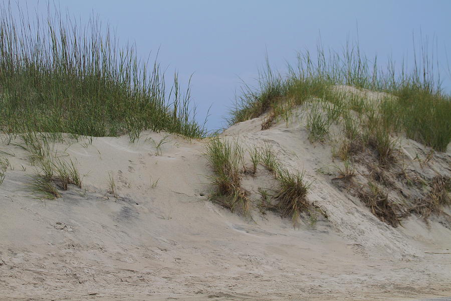 Beach Photograph - Dunes at Frisco Pier by Cathy Lindsey