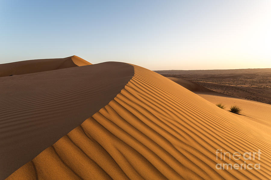 Dunes at sunset in the desert of Oman Photograph by Matteo Colombo