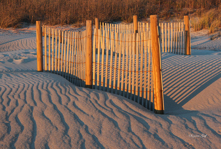 Dunes Fence Photograph by Suzanne Gaff