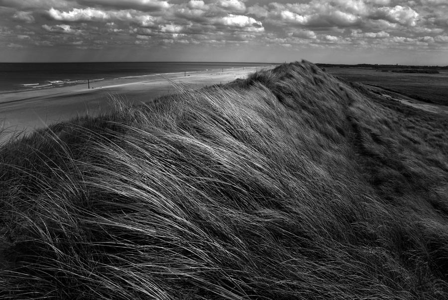 Black And White Photograph - Dunes Hair. by Katarzyna Pardo