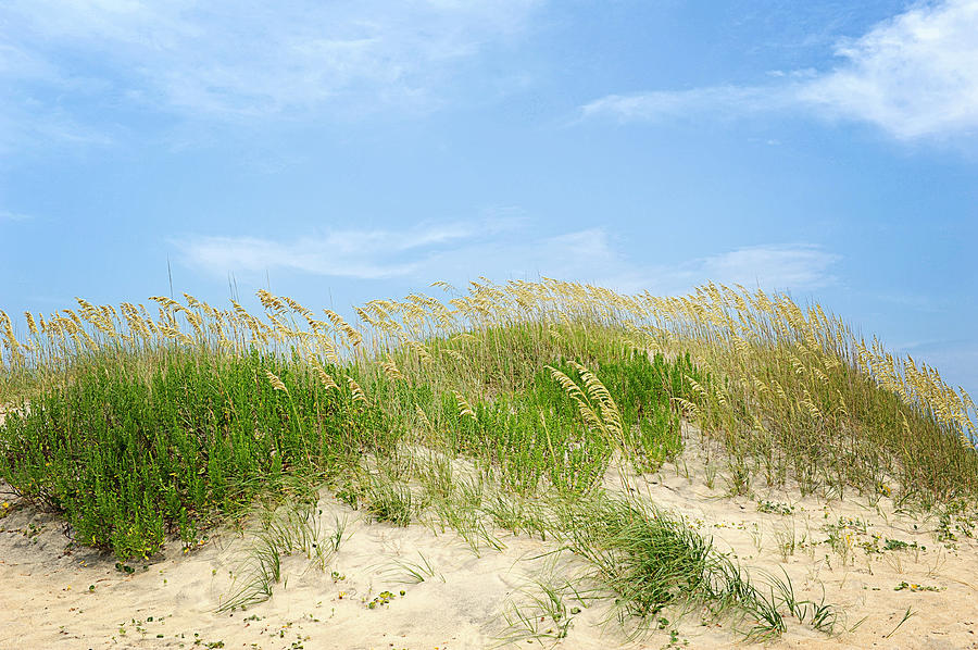 Dunes in Rodanthe Photograph by Kelley Nelson