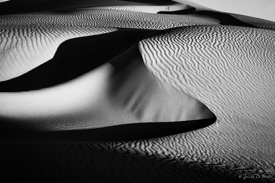 Black And White Photograph - Dunes by James ODonnell