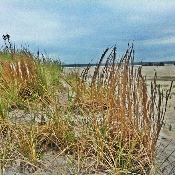 Skyline Photograph - #dunes #jeeps #jeepjk #beach #newjersey by Matthew Loving