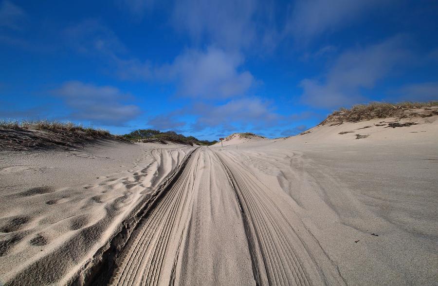 Dunes Of Race Point Photograph by Andrea Galiffi