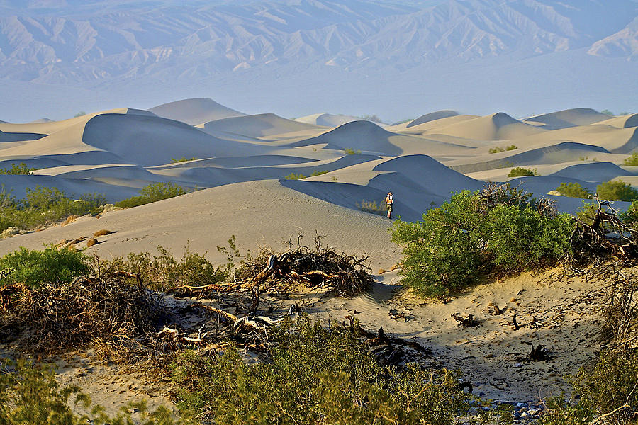 Dunes Photograph by SC Heffner