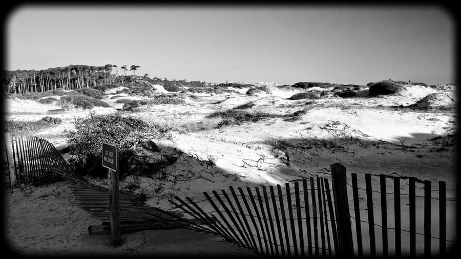 Dunes Scape 2 Photograph by George Taylor