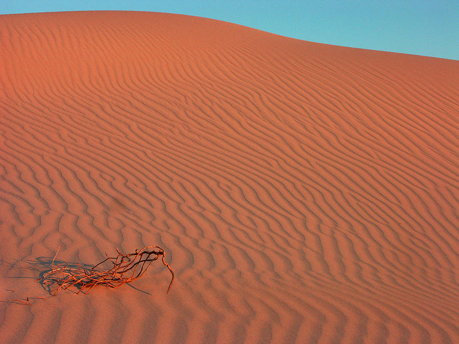 Landscape Photograph - Dunes by Serene Maisey