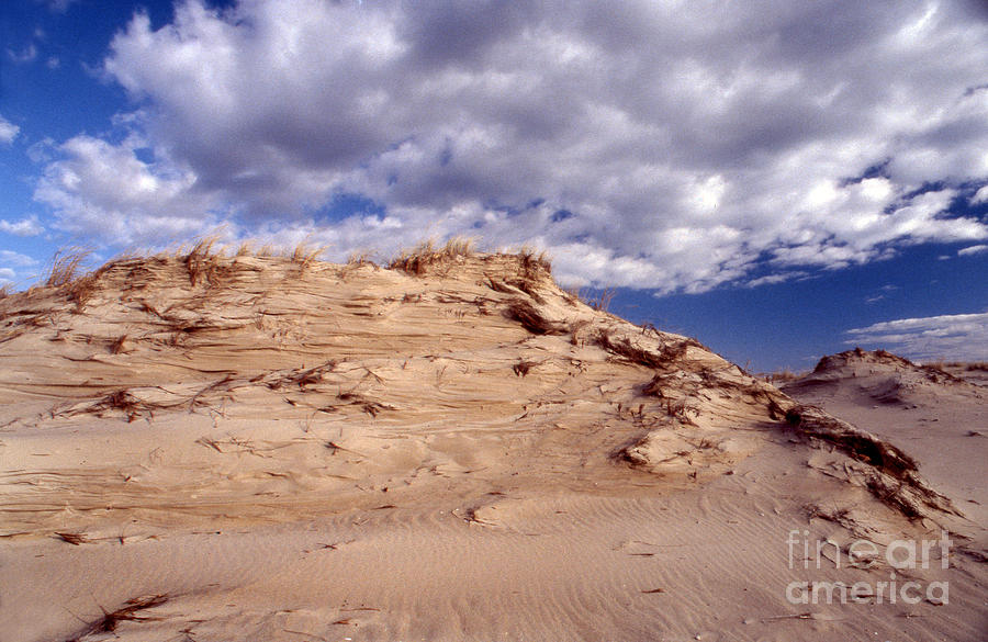 Scenic Tours Photograph - Dunes by Skip Willits