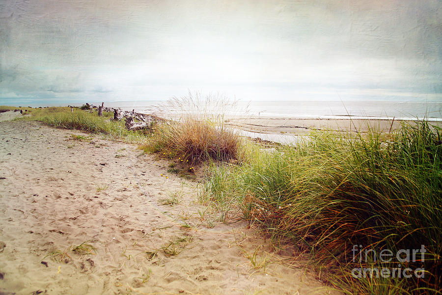 Nature Photograph - Dunes by Sylvia Cook