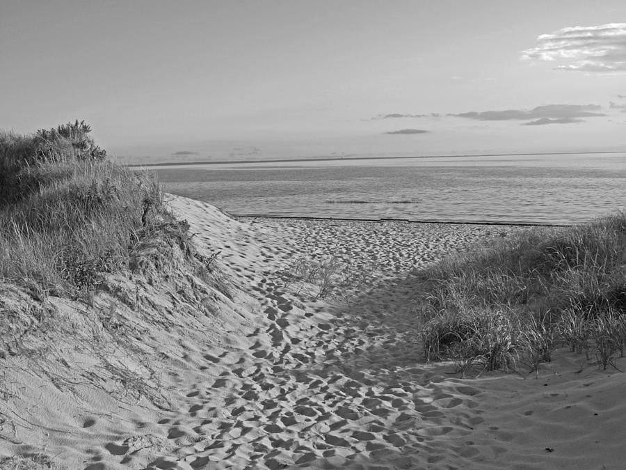 Dunes Walk Photograph by Barbara McDevitt