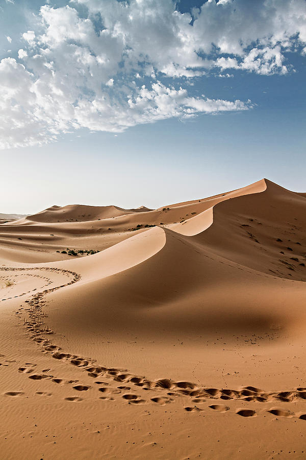 Dunesdunas Sahara Photograph by I Hope You Enjoy