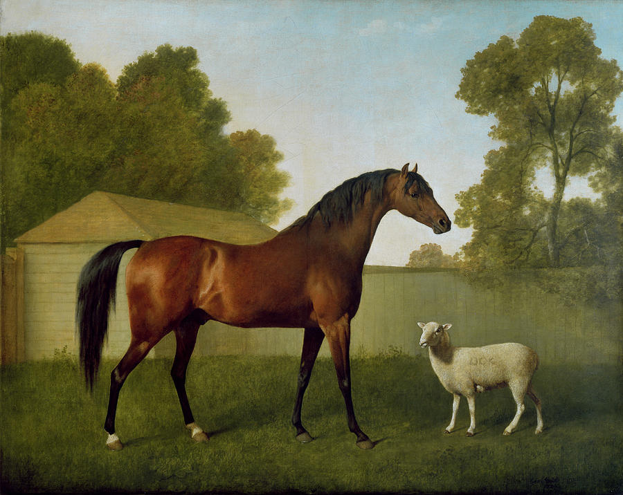 Dungannon, The Property Of Colonel Okelly, Painted In A Paddock With A Sheep, 1793 Photograph by George Stubbs
