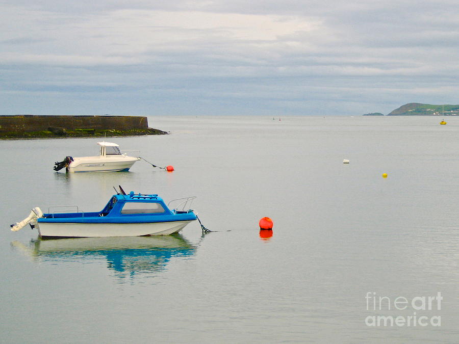 Dungarvan Bay Photograph by Suzanne Oesterling
