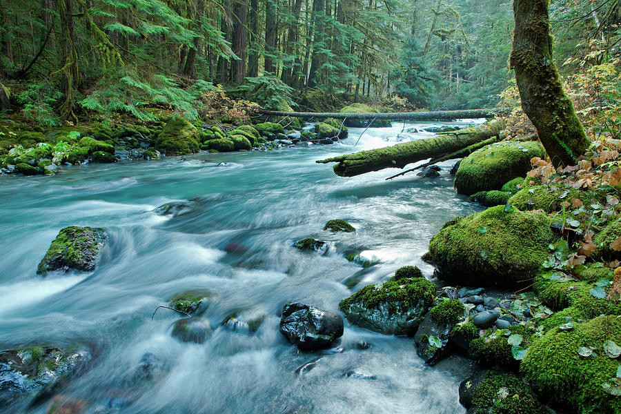 Olympic National Park Photograph - Dungeness River In Olympic National by James White
