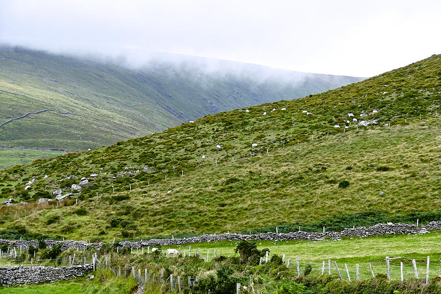 Mountain Photograph - Irish Landscape - Dunloe Gap by Norma Brock