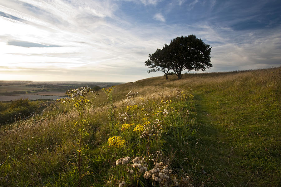 Dunstable Downs Photograph by Graham Custance
