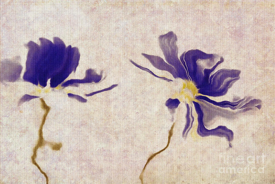 Duo Daisies - a01v03t01b Digital Art by Variance Collections