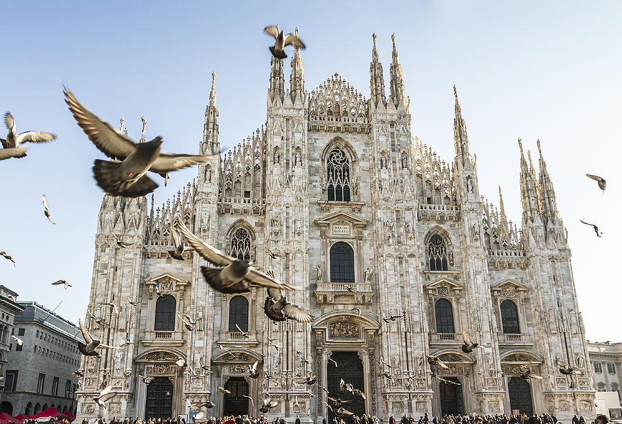 Duomo of Milan and pigeons Photograph by PJPhoto69