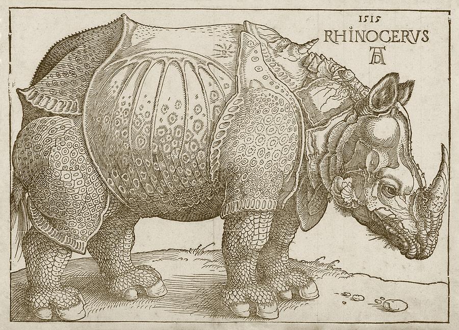 Durers Rhinoceros Photograph by Science Photo Library Durers Rhinoceros Photograph by Science Photo Library