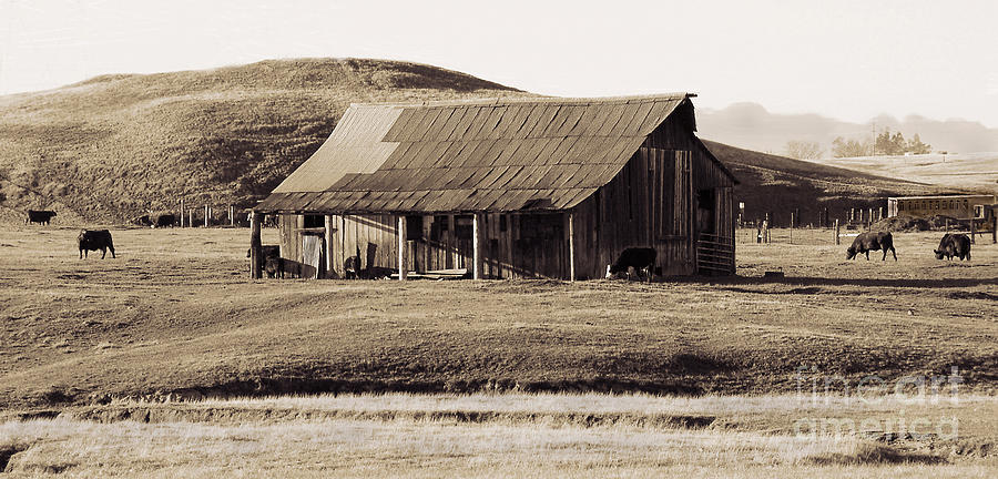 Durham California Barn Photograph by Kathleen Gauthier