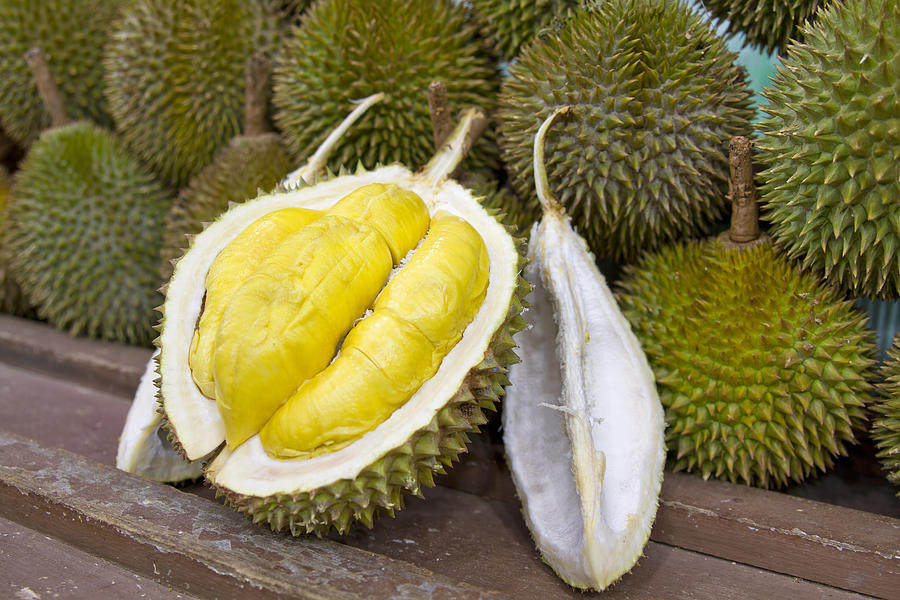 Durian 2 Photograph by David Gn