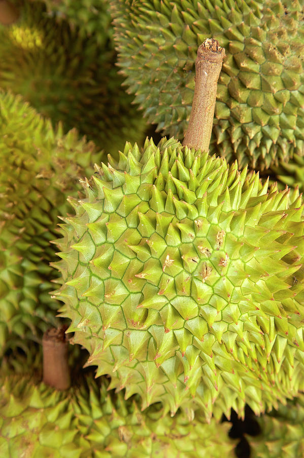 Fruit Photograph - Durians, Can Duoc Market, Long An by David Wall