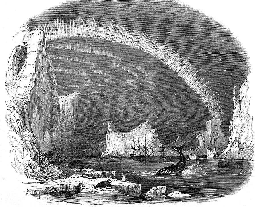 Whale Drawing - During Rosss Voyage In The by  Illustrated London News Ltd/Mar