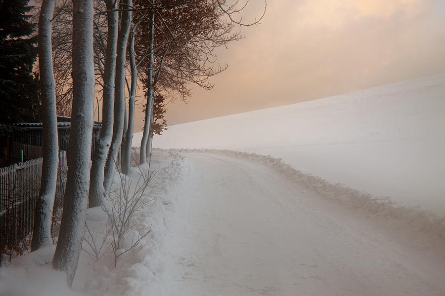 Winter Photograph - Dusk at the Edge of the Forest by Dorit Fuhg