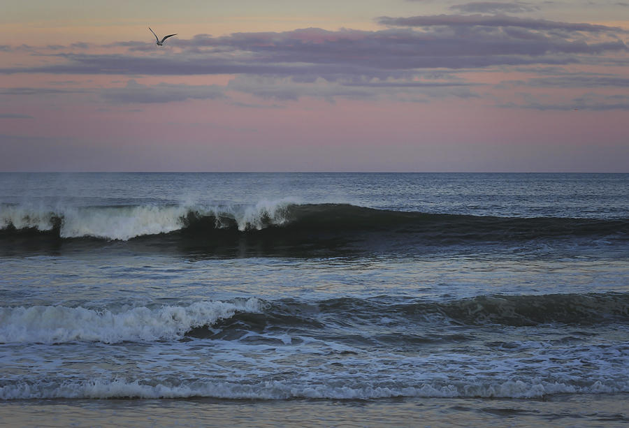 Dusk at the Shore Photograph by Terry DeLuco
