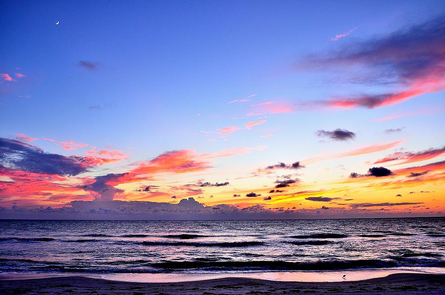 Dusk Delight Photograph by Charles J Pfohl - Fine Art America