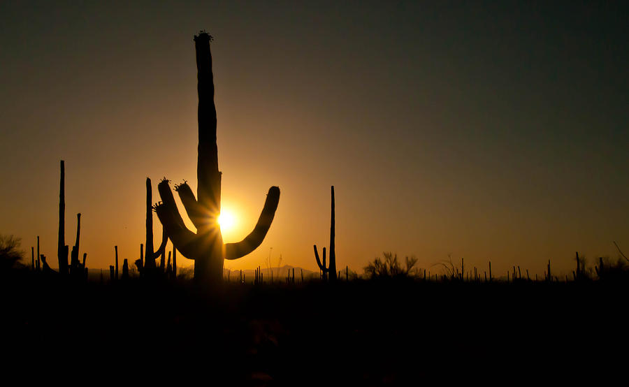 Sunset Photograph - Dusk in the Desert by Jim Southwell