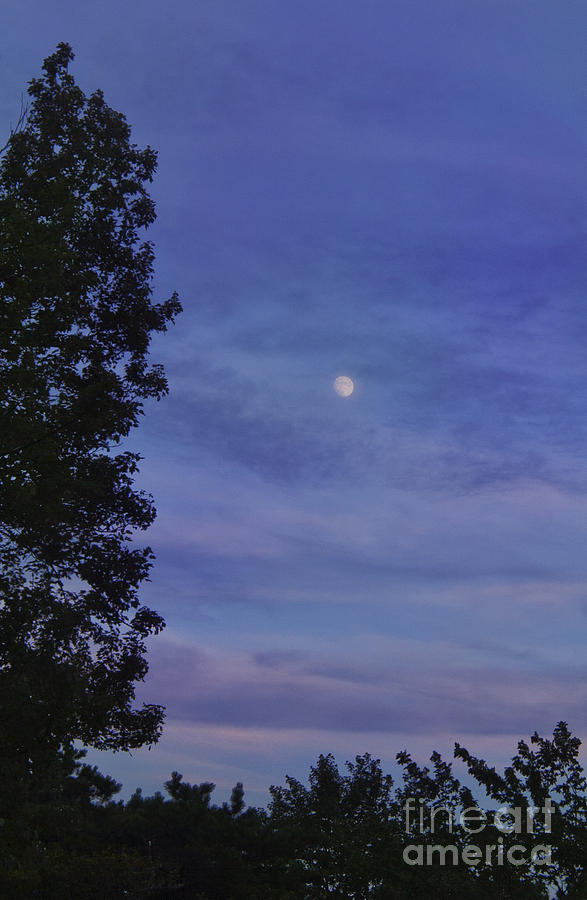 Dusk Moon Photograph by Jonathan Welch