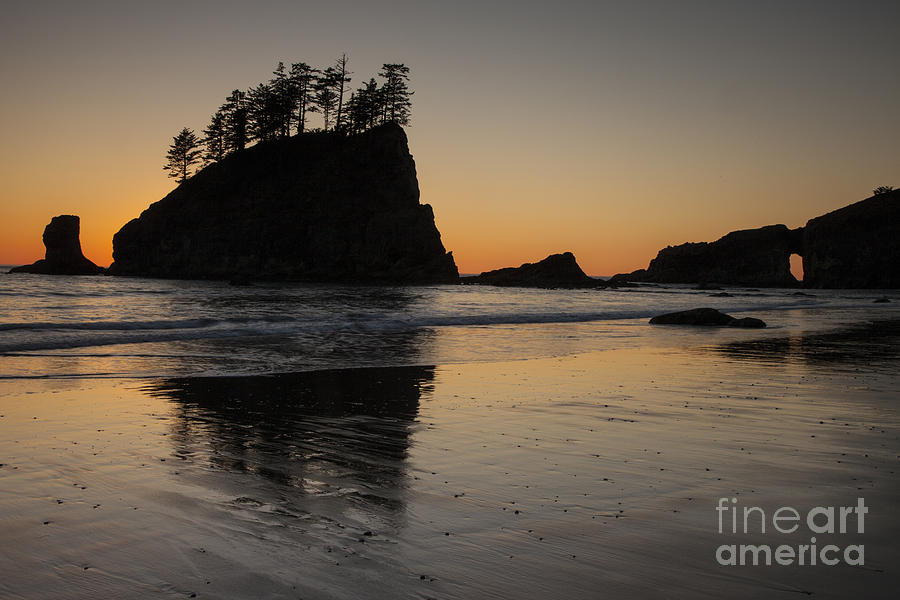 Dusk on the Olympic Peninsula Photograph by Timothy Johnson