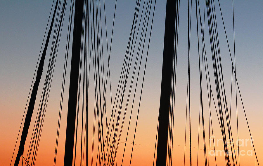 Dusky Ropes Photograph by Sebastian Mathews Szewczyk