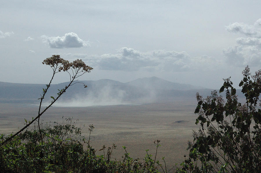 Dust Cloud Ngorongoro Caldera Photograph by Tom Wurl